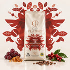 Café Platino Colombia Supremo malla 18 High Gourmet Selection, café en grano 1 kg