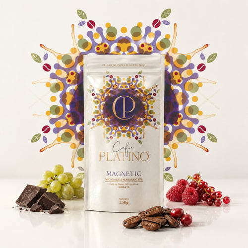 Café Platino MAGNETIC, café de Nicaragua Maragogype malla 19 250 g