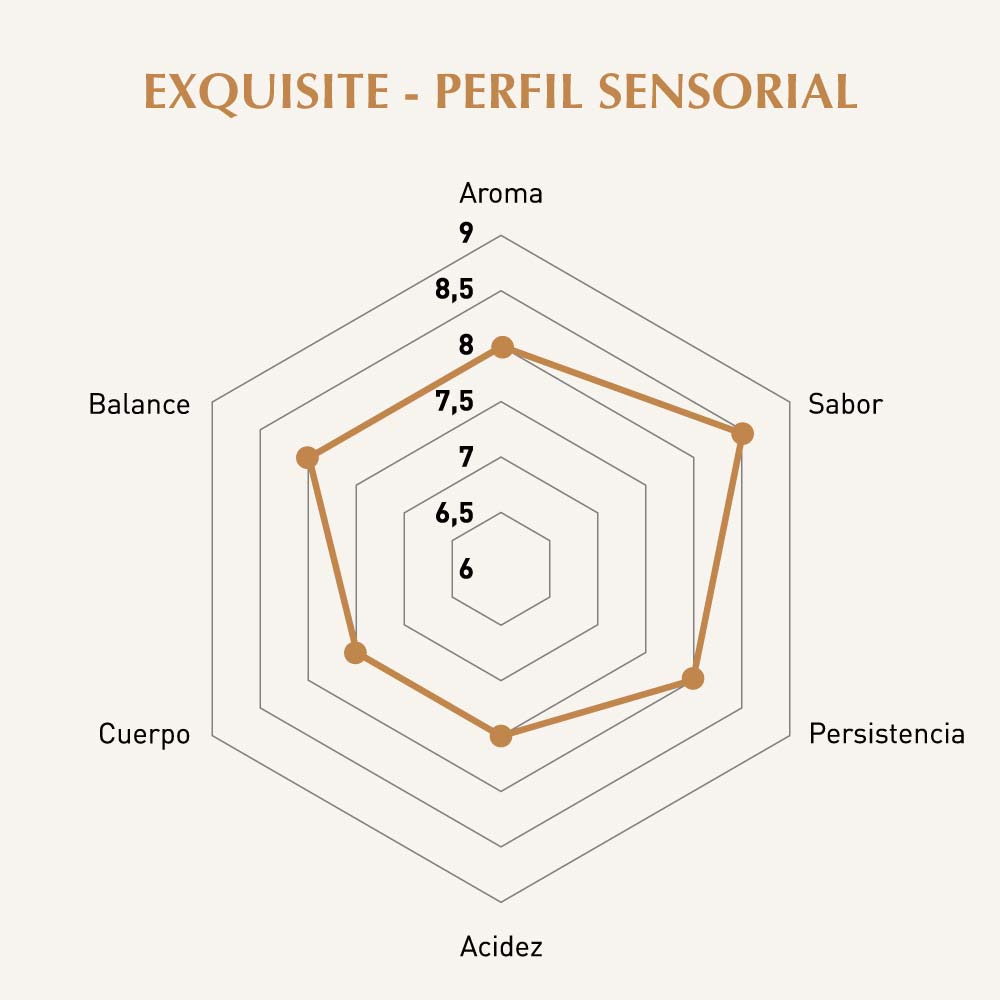 perfil sensorial colombia fairtrade