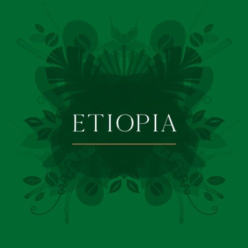 Café en grano de Etiopía