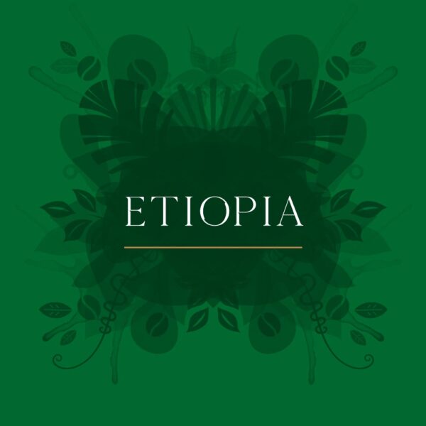 Café recién molido Etiopía